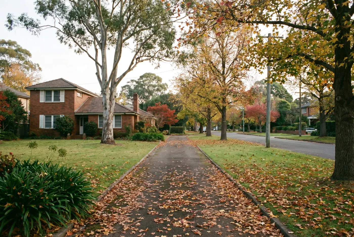 A quiet wide residential street in East Killara with large front lawns, brick homes set well back and autumn leaves across a driveway